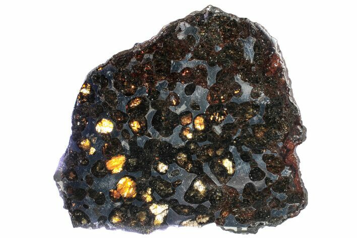 Polished Sericho Pallasite Meteorite ( g) Slice - Kenya #313715